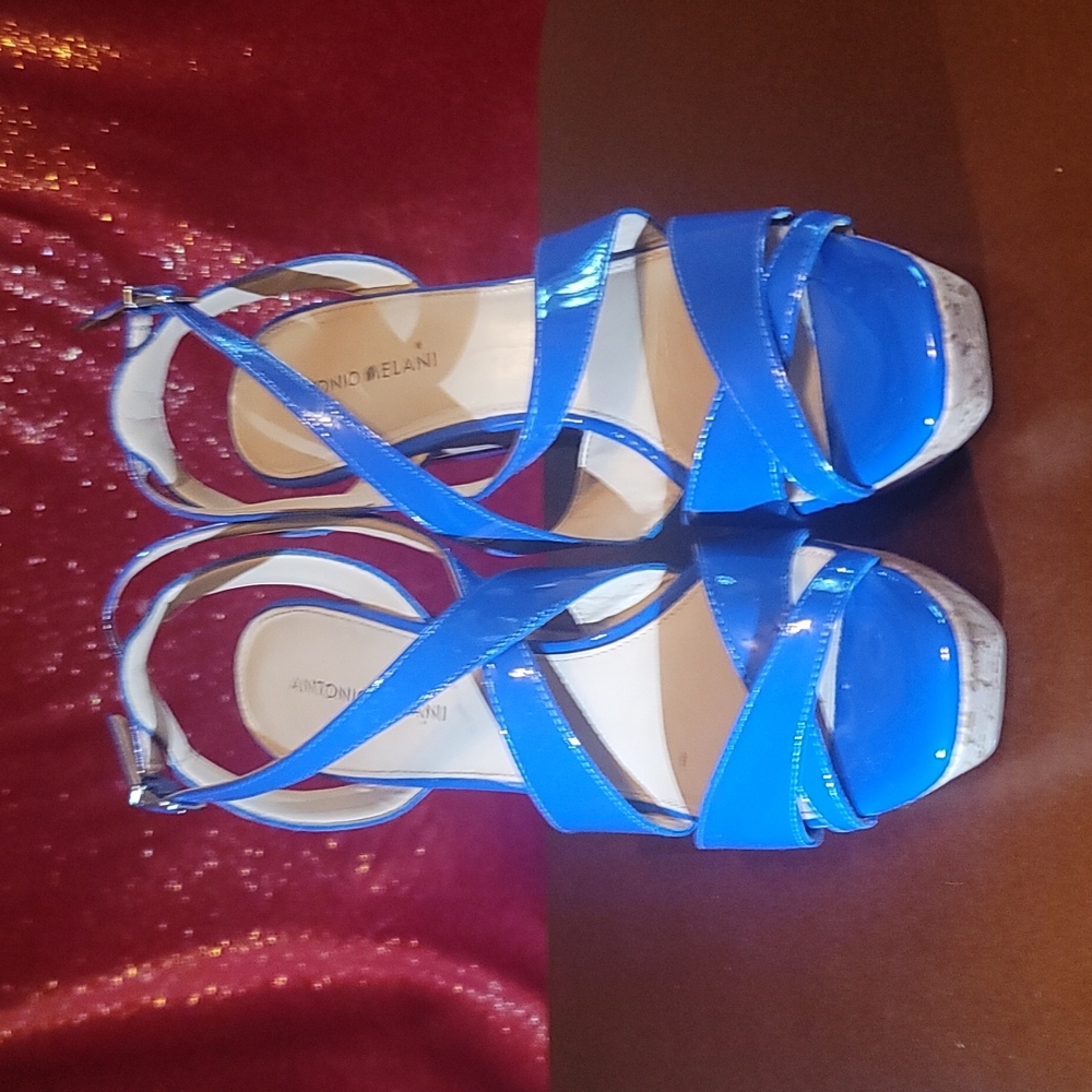 Womens Wedges Blue; Size 10